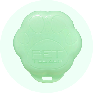 フレンドリーミント