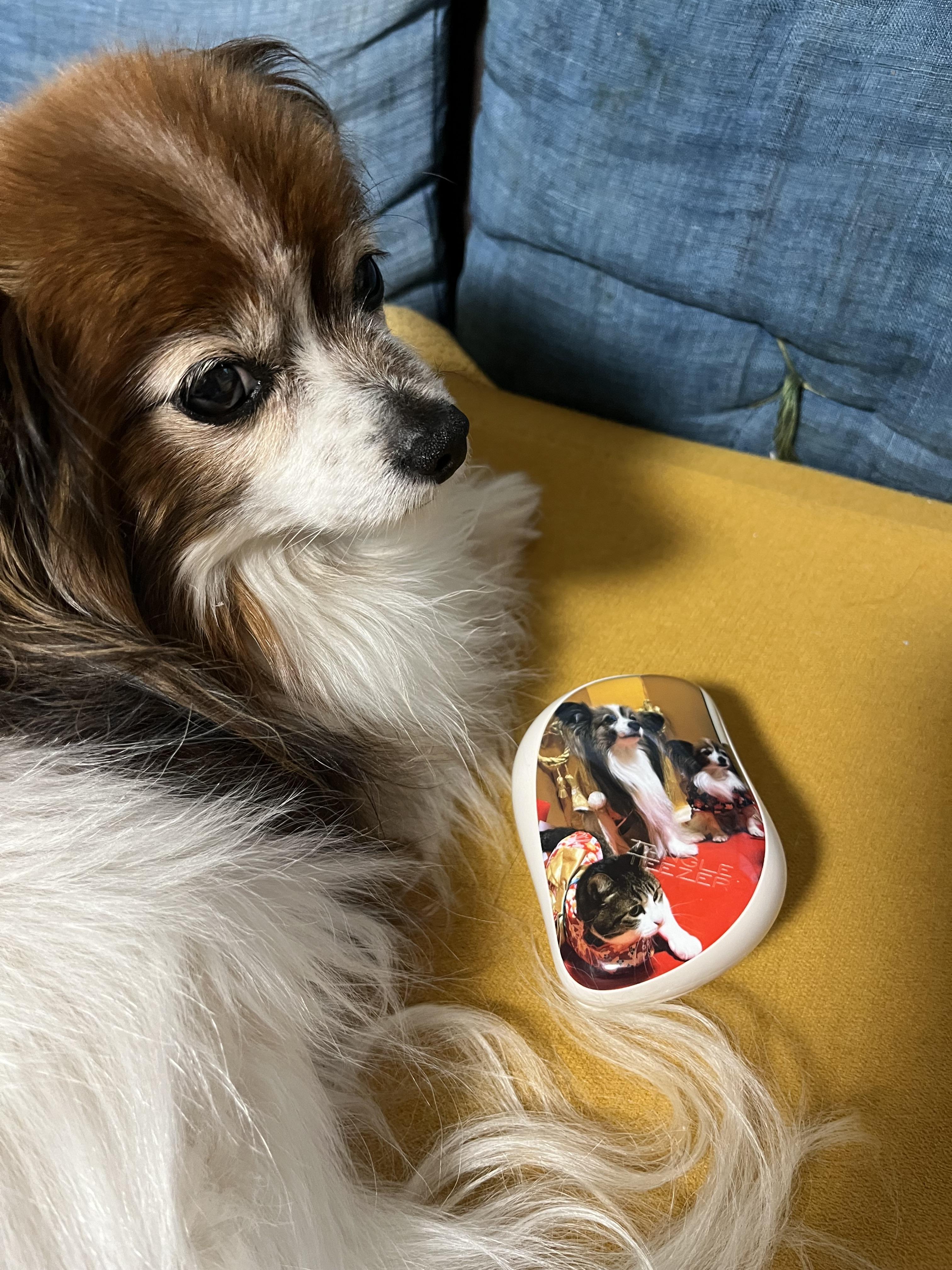 マイタングル[オリジナルプリントサービス]