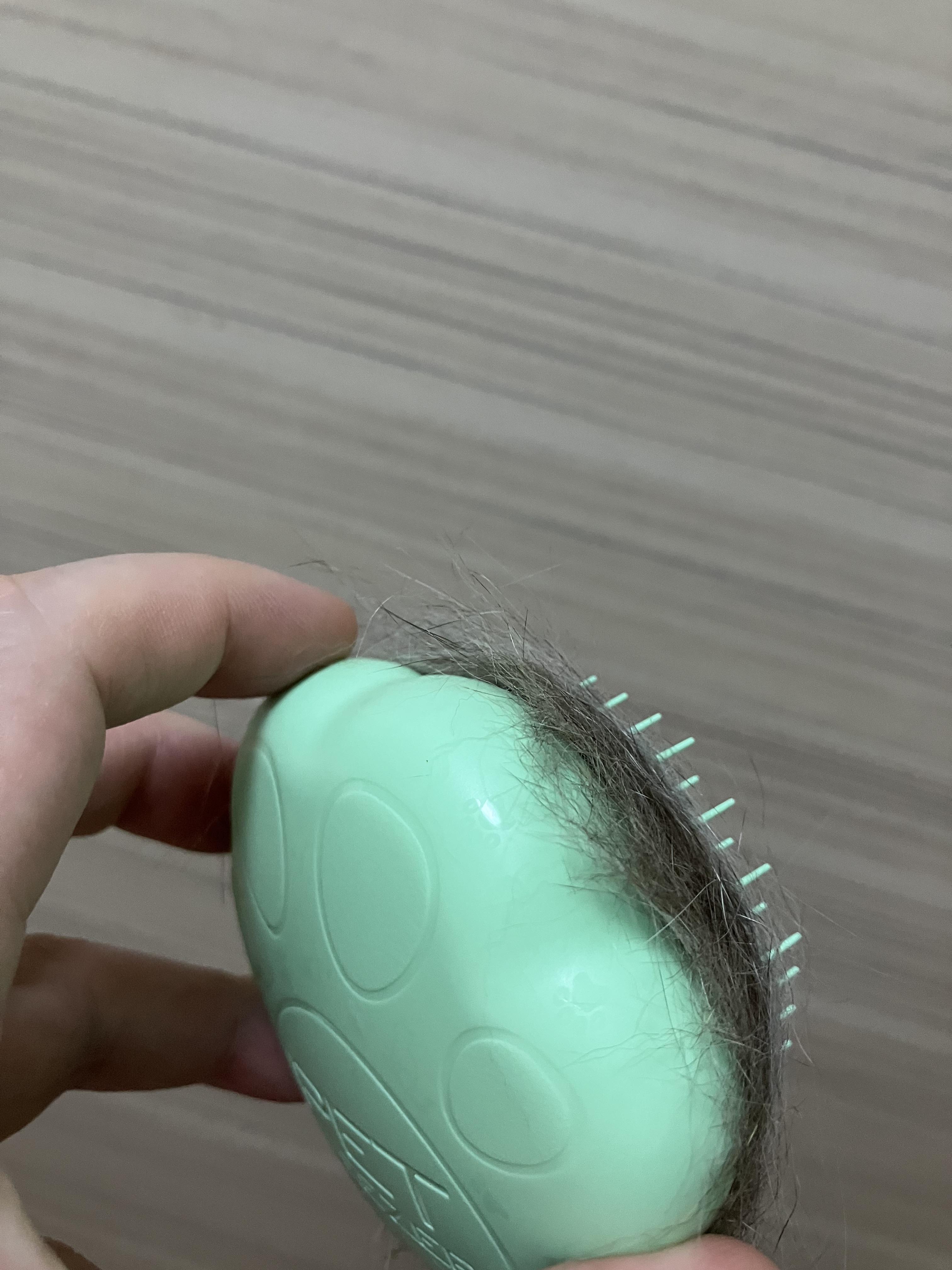 フレンドリーミント