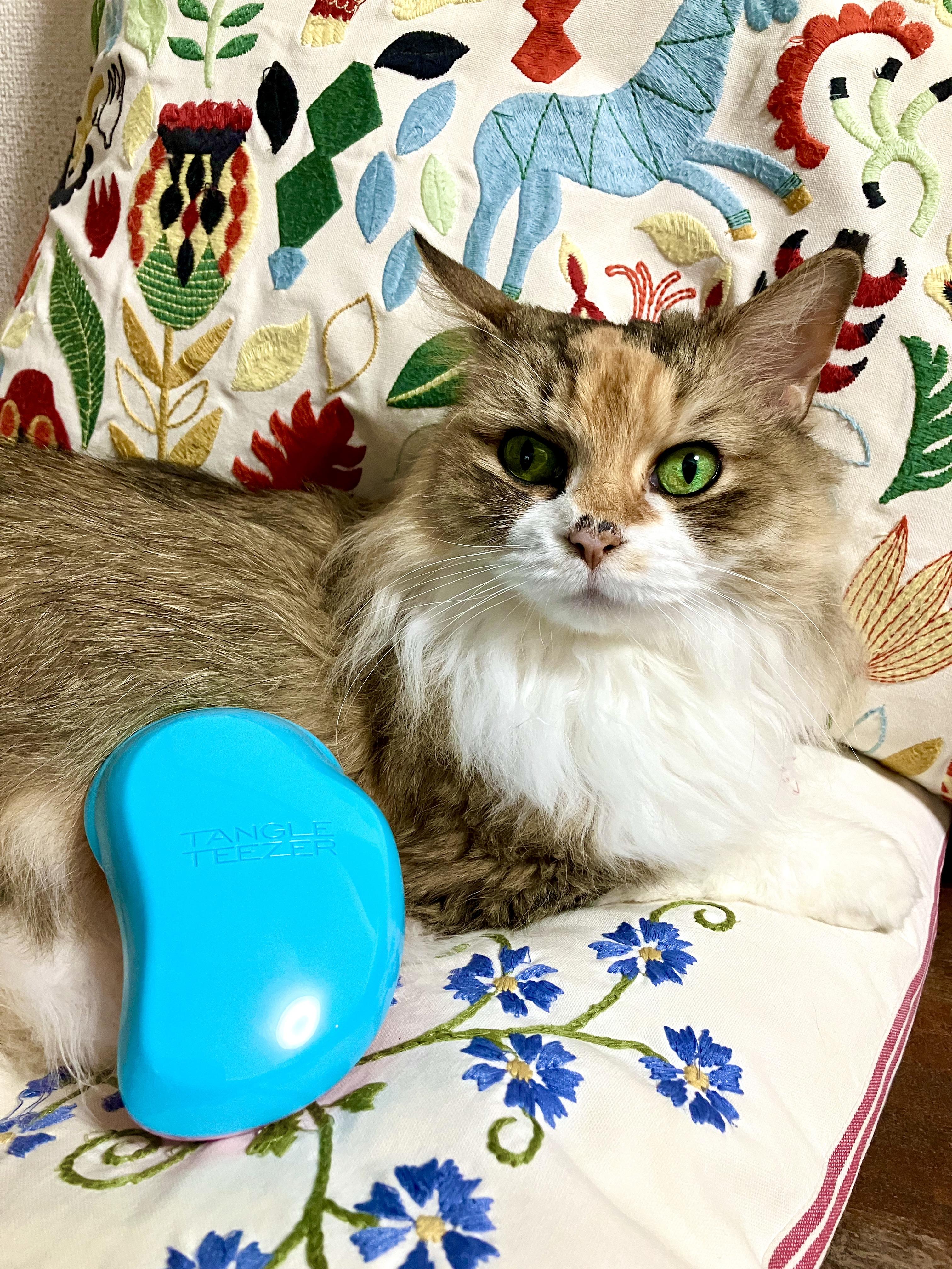 ターコイズピンク