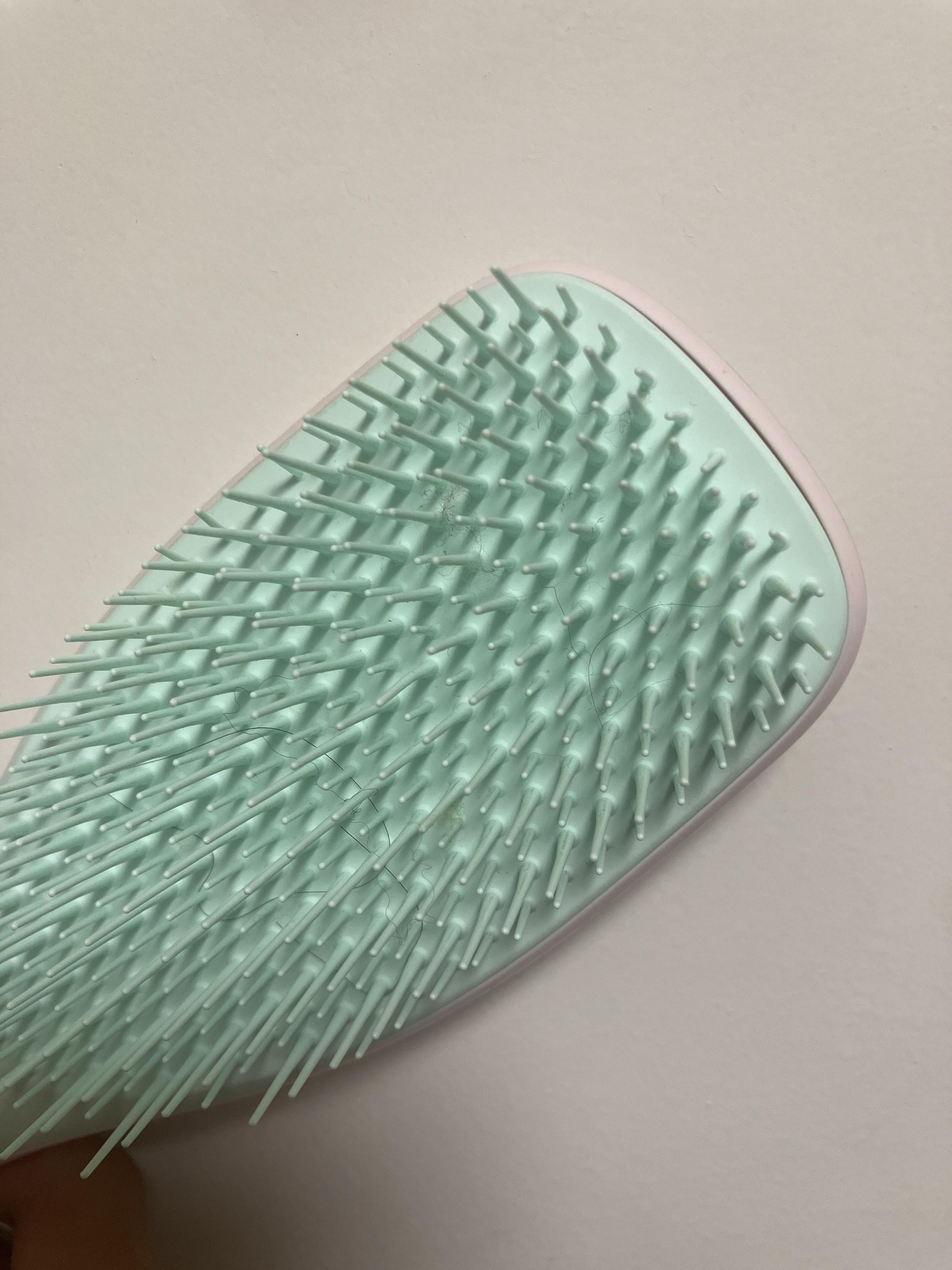 シュガーミント